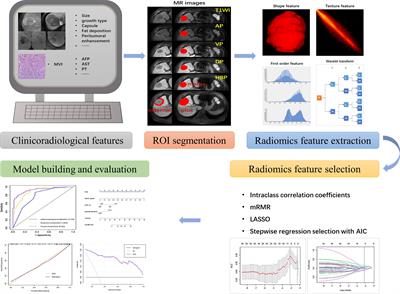 Radiomic Features of Multi-ROI and Multi-Phase MRI for the Prediction of Microvascular Invasion in Solitary Hepatocellular Carcinoma